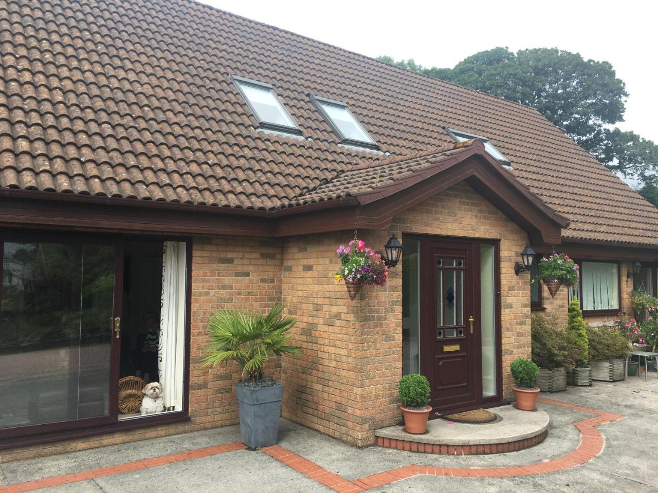 The Firs - Englefield Studio Bed and Breakfast Douglas Εξωτερικό φωτογραφία